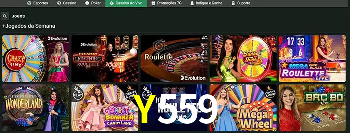 Y559 bet