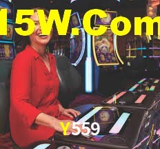 Y559,y559.com